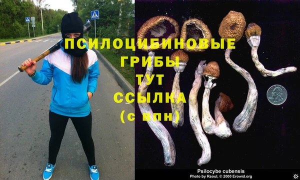 каннабис Алексеевка