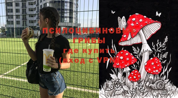 винт Алексин