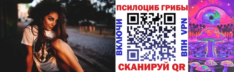 наркота  Заволжск  Псилоцибиновые грибы Psilocybe 